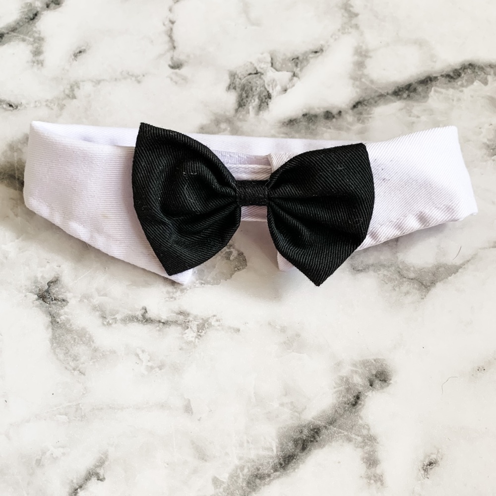 Doggy Bowtie